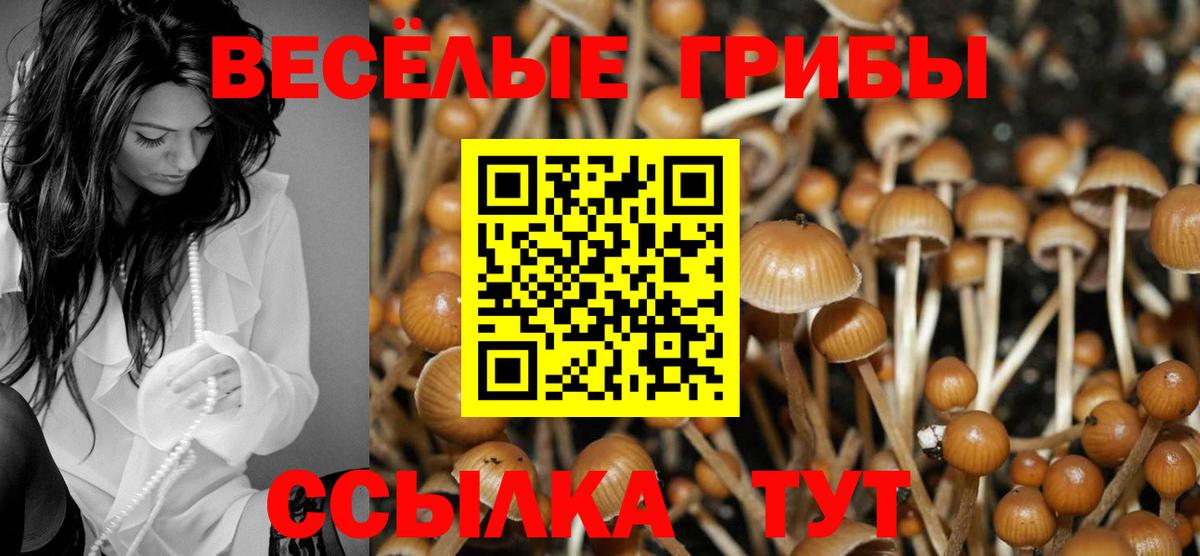 Псилоцибиновые грибы Cubensis Воткинск