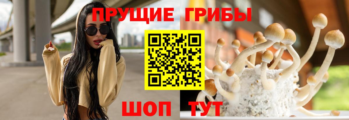 Воткинск  Псилоцибиновые грибы мухоморы  Вход с VPN 